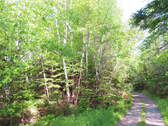 Cape Breton - Wunderschönes 11-Hektar-Areal mit 23 - 