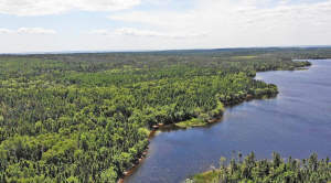 Cape Breton - Wunderschönes 11-Hektar-Areal mit 23 - 