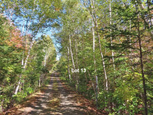 Cape Breton - Bras d`Or Lake - Wunderschönes Misch - Grundstück zum Kaufen in Malagawatch
