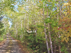 Cape Breton - Bras d`Or Lake - Wunderschönes Misch - Grundstück in Malagawatch