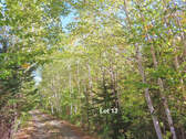 Cape Breton - Bras d`Or Lake - Wunderschönes Misch - Grundstück in Malagawatch zum Kaufen