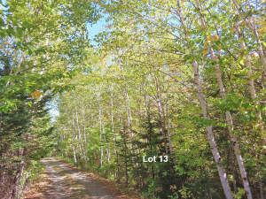 Cape Breton - Bras d`Or Lake - Wunderschönes Misch - Grundstück in Malagawatch zum Kaufen