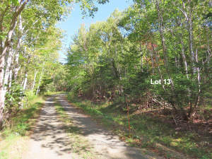 Cape Breton - Bras d`Or Lake - Wunderschönes Misch - 