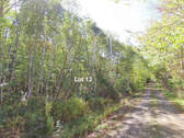 Cape Breton - Bras d`Or Lake - Wunderschönes Misch - 