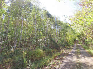 Cape Breton - Bras d`Or Lake - Wunderschönes Misch - 