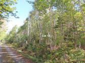 Cape Breton - Bras d`Or Lake - Wunderschönes Misch - 