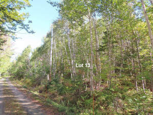 Cape Breton - Bras d`Or Lake - Wunderschönes Misch - 