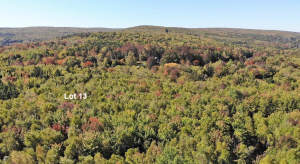 Cape Breton - Bras d`Or Lake - Wunderschönes Misch - 