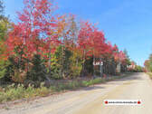 Nova Scotia - West Side Country Harbour - Preiswer - Grundstück zum Kaufen in Country Harbour