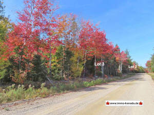 Nova Scotia - West Side Country Harbour - Preiswer - Grundstück zum Kaufen in Country Harbour