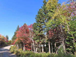 Nova Scotia - West Side Country Harbour - Preiswer - Grundstück in Country Harbour