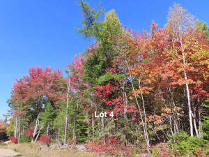 Nova Scotia - West Side Country Harbour - Preiswer - 