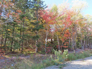 Nova Scotia - West Side Country Harbour - Preiswer - 