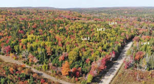 Nova Scotia - West Side Country Harbour - Preiswer - 