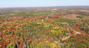 Nova Scotia - West Side Country Harbour - Preiswer - 