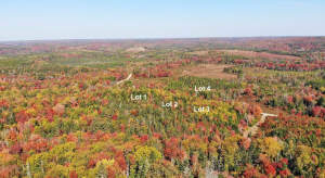 Nova Scotia - West Side Country Harbour - Preiswer - 