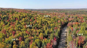 Nova Scotia - West Side Country Harbour - Preiswer - 