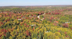 Nova Scotia - West Side Country Harbour - Preiswer - 