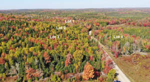 Nova Scotia - West Side Country Harbour - Preiswer - 