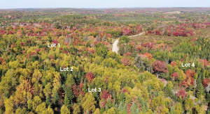 Nova Scotia - West Side Country Harbour - Preiswer - 