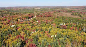 Nova Scotia - West Side Country Harbour - Preiswer - 