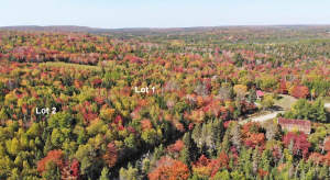 Nova Scotia - West Side Country Harbour - Preiswer - 