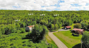 Nova Scotia - West Side Country Harbour - Preiswer - 