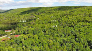 Nova Scotia - West Side Country Harbour - Preiswer - 