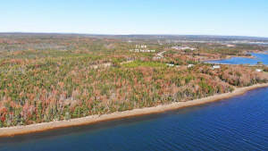 Cape Breton - Neu-Erschließung mit 7 Lots - 23 Hek - 