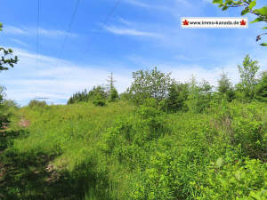 Cape Breton - Soldiers Cove - 26.790 m² großes Bau - Cape Breton - Soldiers Cove - Lot 2 - 26.790 m² großes Bau-Grundstück nahe St. Peters und Bras d`Or Lake