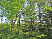 Cape Breton - Soldiers Cove - 26.790 m² großes Bau - 