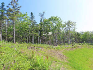 Cape Breton - 31-Hektar Areal in herrlicher Atlant - 