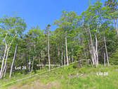 Cape Breton - 31-Hektar Areal in herrlicher Atlant - 