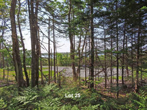 Cape Breton - 31-Hektar Areal in herrlicher Atlant - 