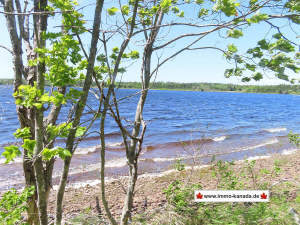Cape Breton - Ideal für´s Kapital - Einzigartiges - Grundstück in Pondville