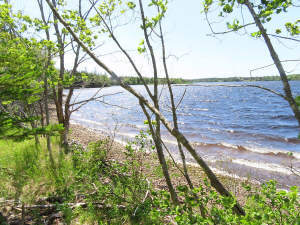 Cape Breton - Ideal für´s Kapital - Einzigartiges - Grundstück in Pondville zum Kaufen