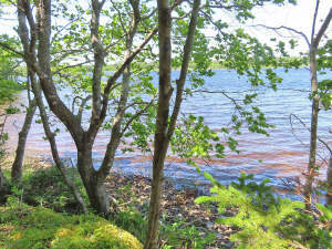 Cape Breton - Ideal für´s Kapital - Einzigartiges - 
