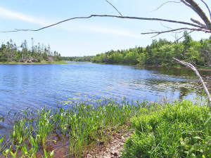 Cape Breton - Ideal für´s Kapital - Einzigartiges - 