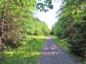 Cape Breton - Ideal für´s Kapital - Einzigartiges - 