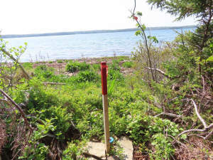 Cape Breton - Einzigartige Atlantik-Lage - 31 Hekt - 