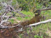 Cape Breton - Einzigartige Atlantik-Lage - 31 Hekt - 