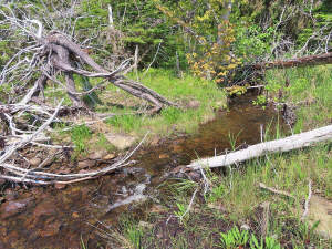 Cape Breton - Einzigartige Atlantik-Lage - 31 Hekt - 