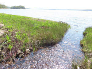 Cape Breton - Einzigartige Atlantik-Lage - 31 Hekt - 