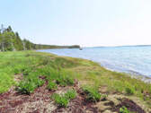 Cape Breton - Einzigartige Atlantik-Lage - 31 Hekt - 