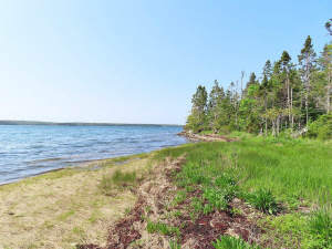 Cape Breton - Einzigartige Atlantik-Lage - 31 Hekt - 