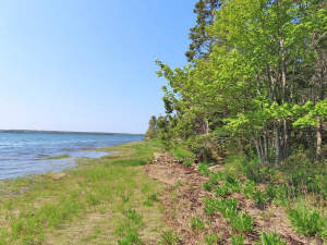 Cape Breton - Einzigartige Atlantik-Lage - 31 Hekt - 
