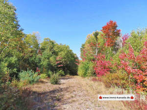 Nova Scotia - West Side Country Harbour - 52-Hekta - Nova Scotia - Country Harbour - 52-Hektar-Areal mit zusätzlichem Bau-Grundstück