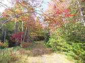 Nova Scotia - West Side Country Harbour - 52-Hekta - Grundstück in Country Harbour zum Kaufen
