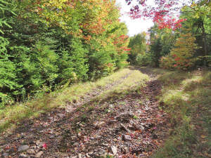 Nova Scotia - West Side Country Harbour - 52-Hekta - 