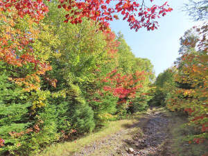 Nova Scotia - West Side Country Harbour - 52-Hekta - 